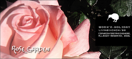 botanic_garden中美麗綻放的玫瑰